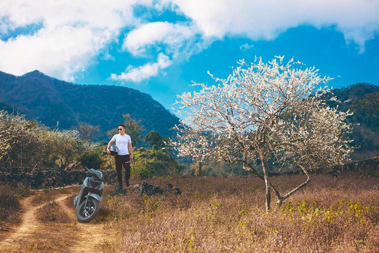 kinh-nghiem-du-lich-ha-giang-mua-xuan